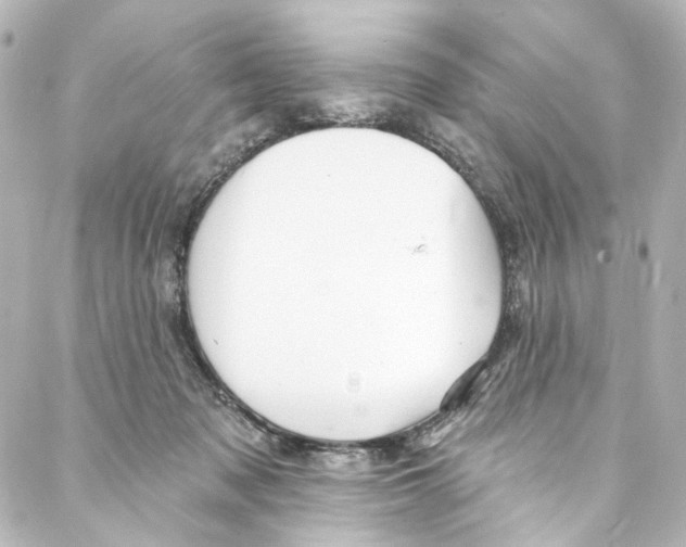 X0000087030317200705141928