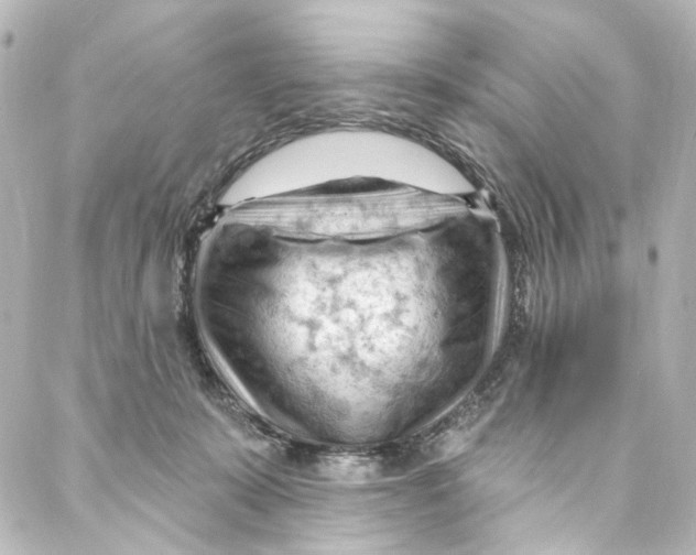 X0000087030319200705141928