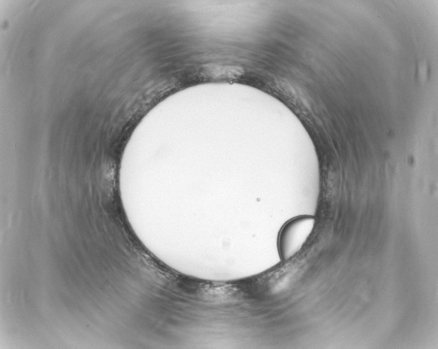 X0000087030321200705141928