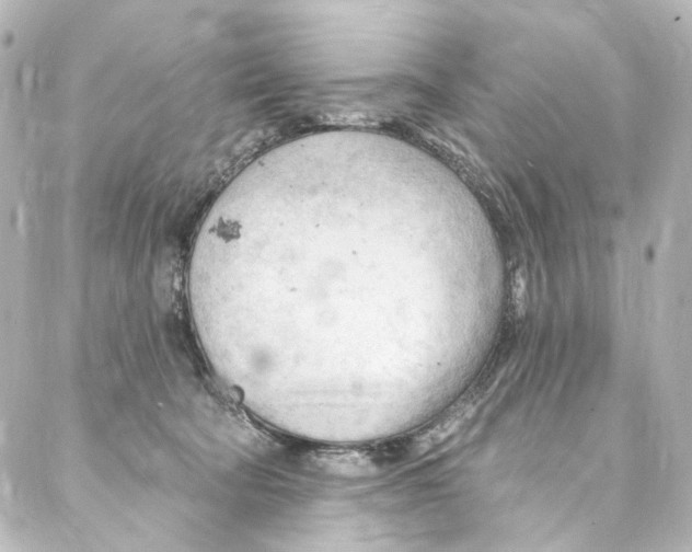 X0000087030322200705141928