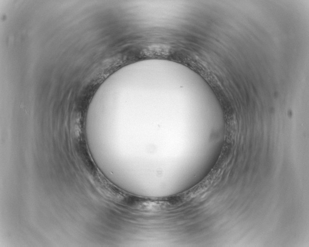 X0000087030323200705141928