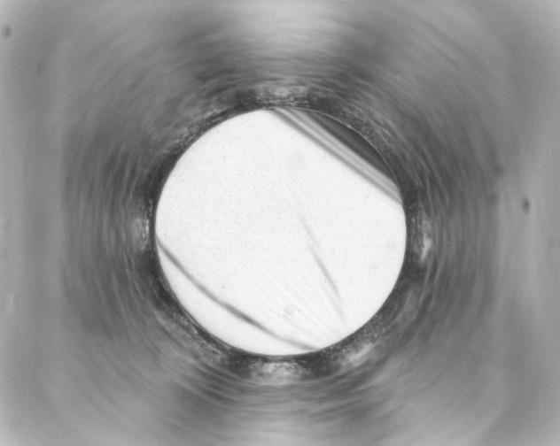 X0000087030324200705141928