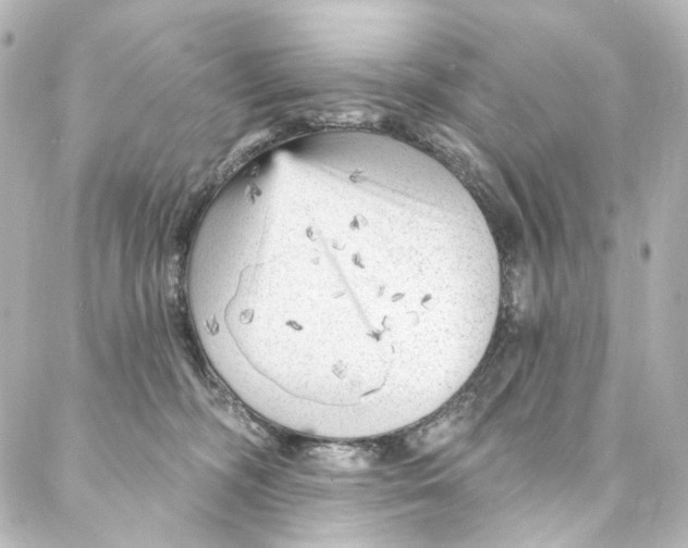 X0000087030326200705141928