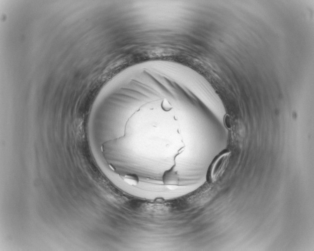 X0000087030327200705141928