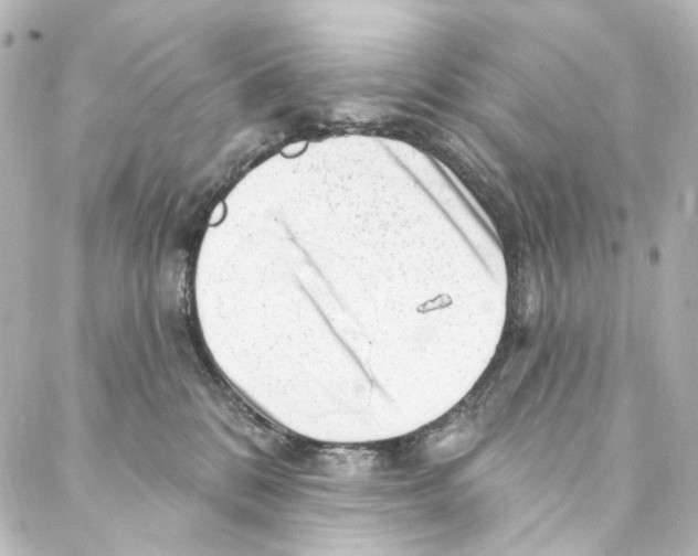 X0000087030328200705141928