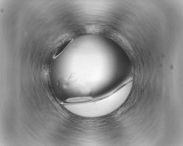 X0000087030329200705141928