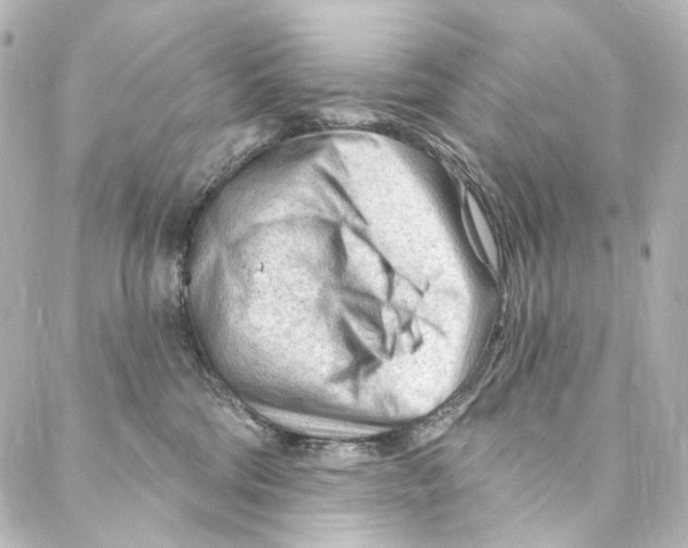 X0000087030330200705141928