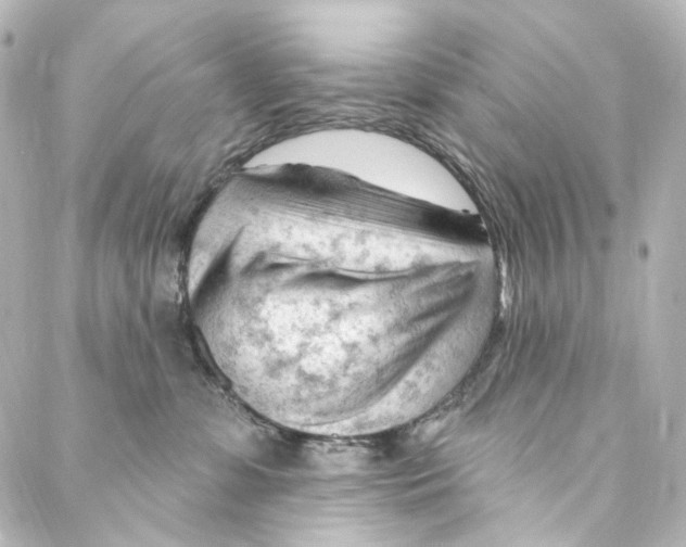 X0000087030331200705141928