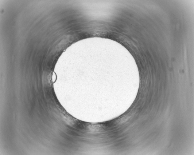 X0000087030336200705141928