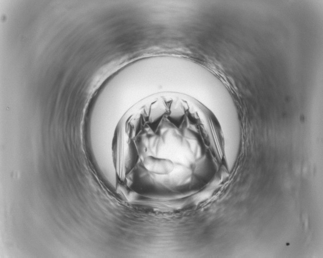 X0000087030340200705141927