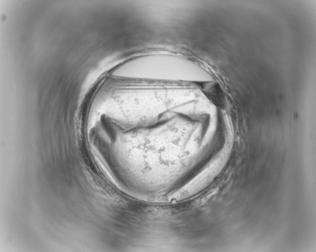 X0000087030343200705141927