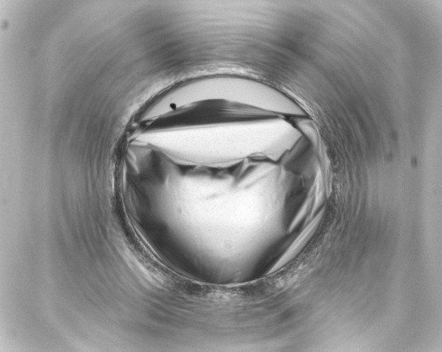 X0000087030350200705141928