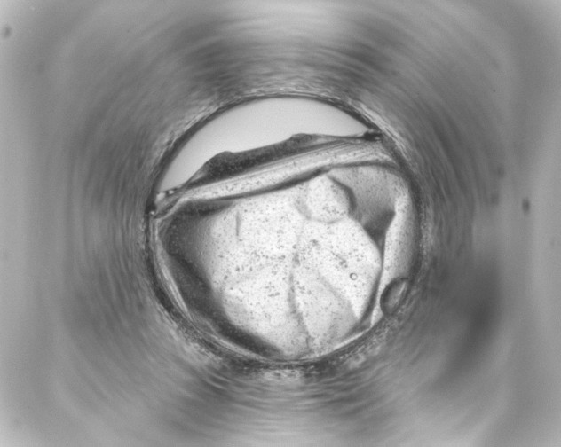 X0000087030353200705141928