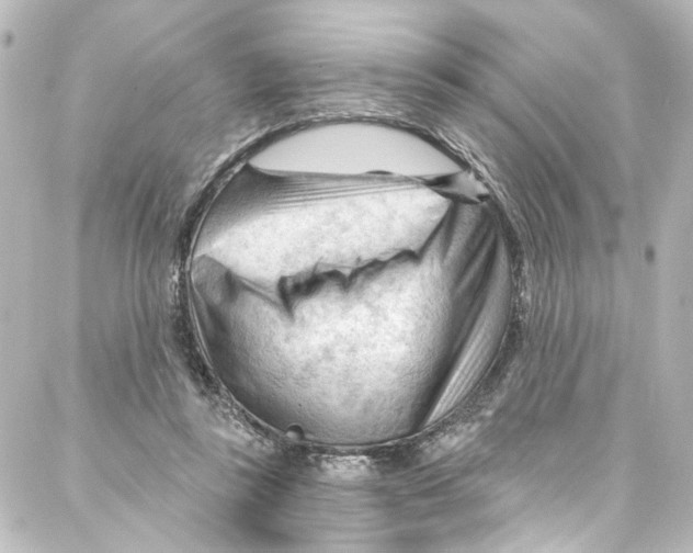 X0000087030355200705141928