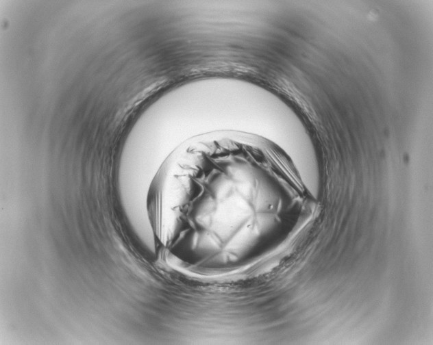 X0000087030356200705141928