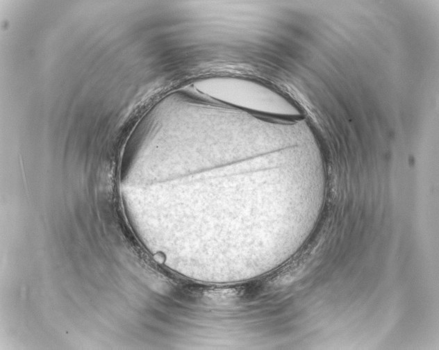 X0000087030357200705141928