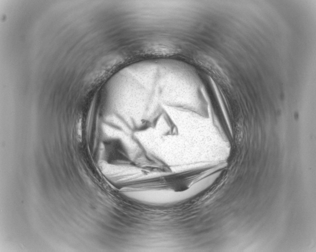 X0000087030358200705141928