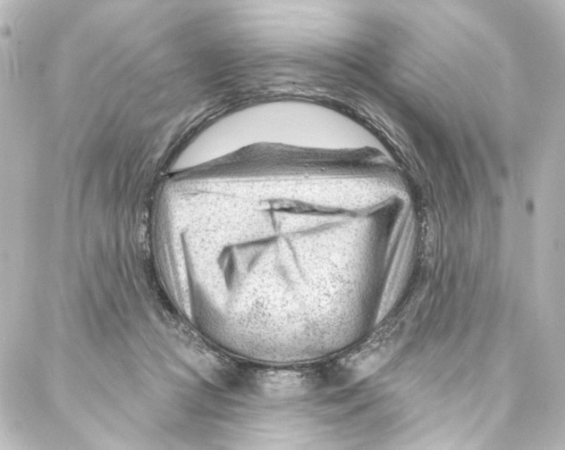 X0000087030361200705141928