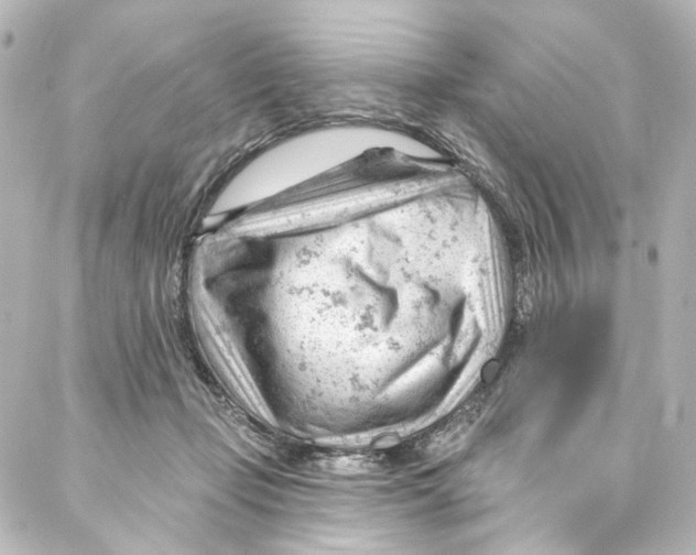 X0000087030365200705141928