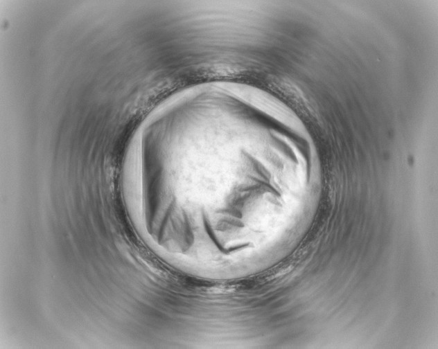 X0000087030366200705141928