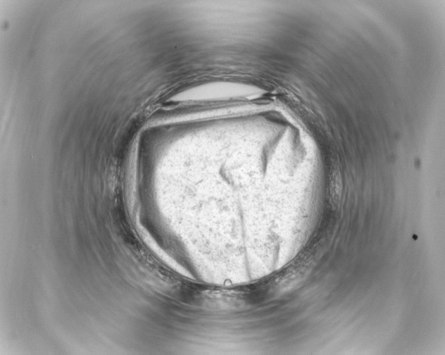 X0000087030367200705141928