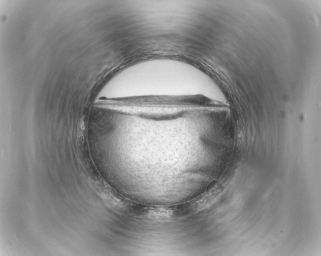 X0000087030369200705141928