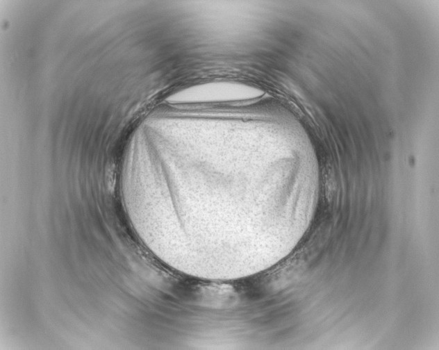 X0000087030374200705141928