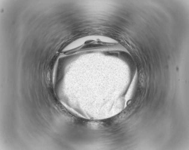 X0000087030375200705141928