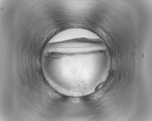 X0000087030377200705141928