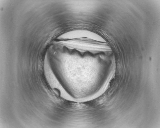 X0000087030379200705141928