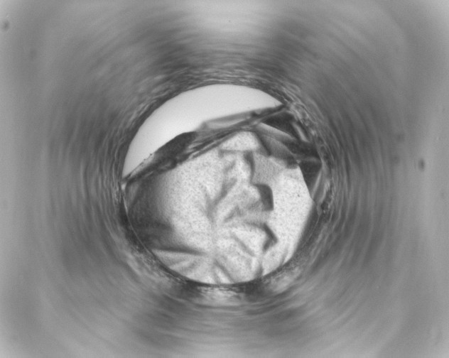 X0000087030380200705141928