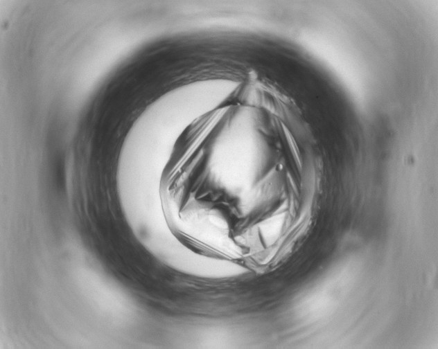 X0000087030382200705141928