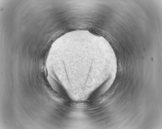 X0000087030383200705141928