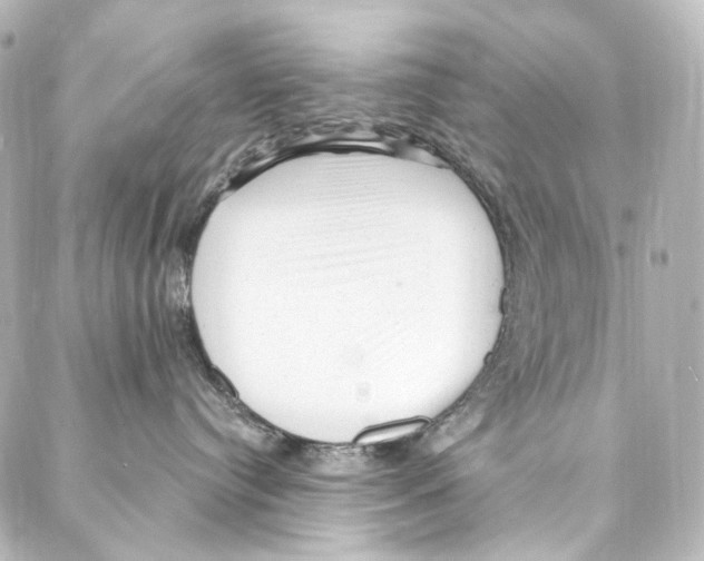 X0000087030384200705141928