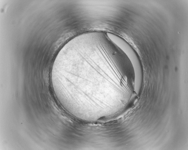 X0000087030386200705141927