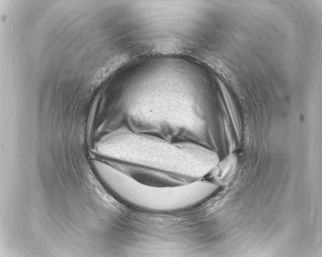 X0000087030393200705141927