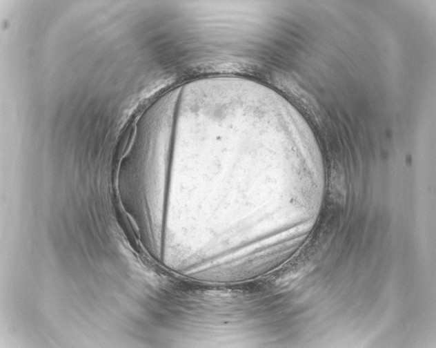 X0000087030394200705141927