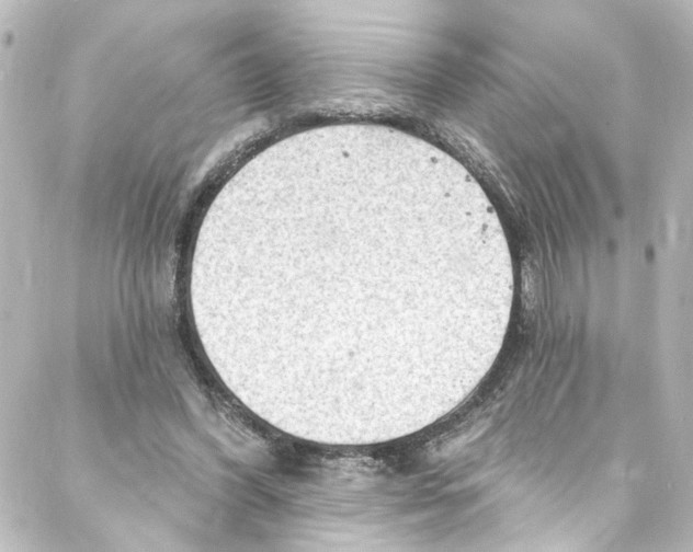 X0000087030396200705141927