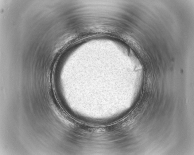 X0000087030398200705141927