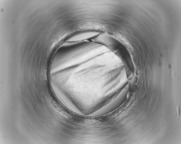 X0000087030399200705141927