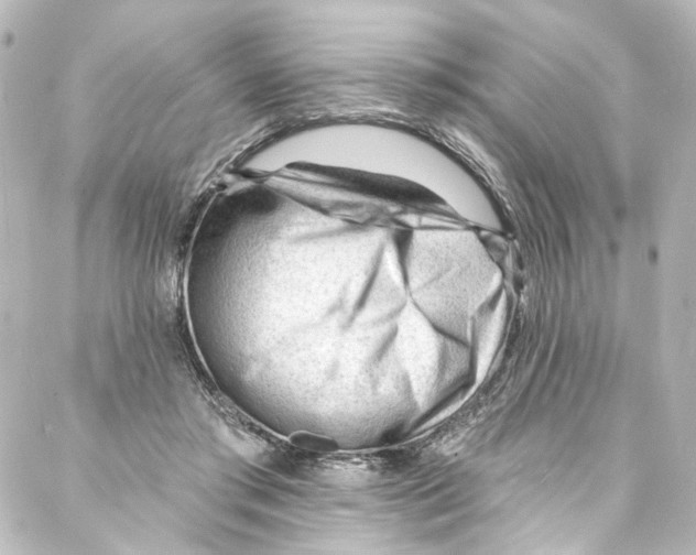 X0000087030405200705141927