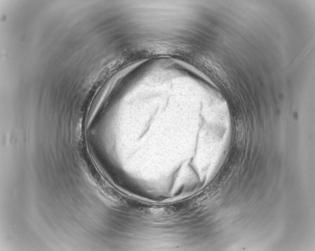 X0000087030406200705141927