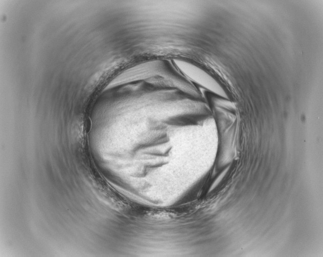 X0000087030407200705141927