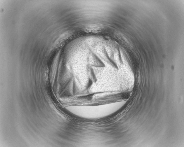 X0000087030408200705141927