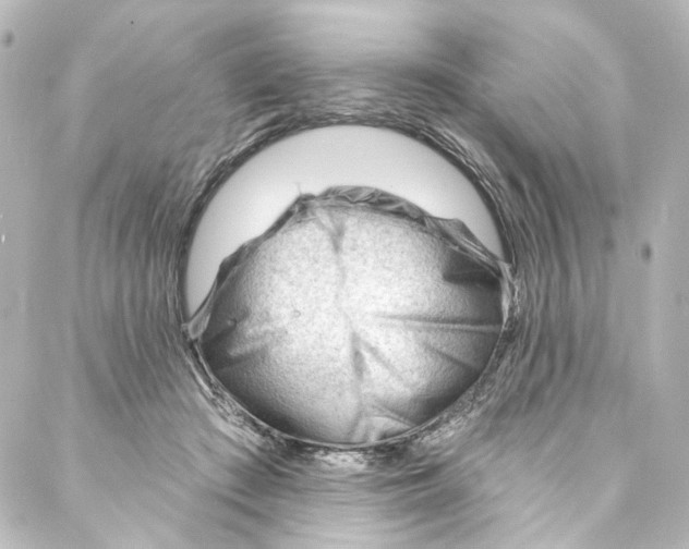 X0000087030409200705141927