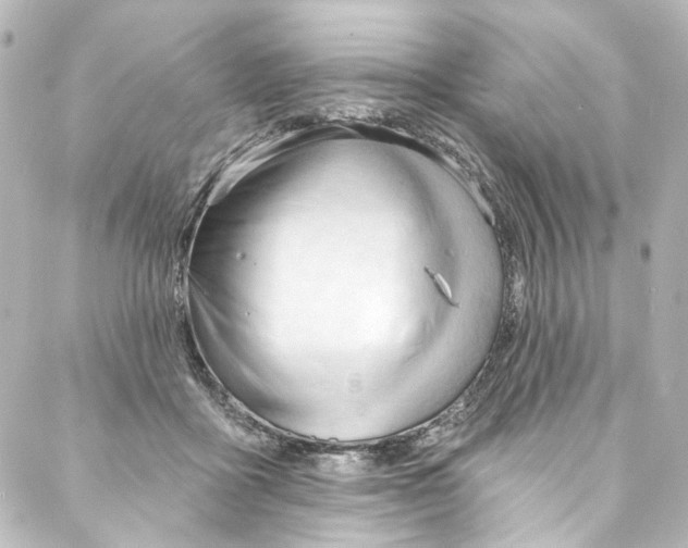 X0000087030411200705141927