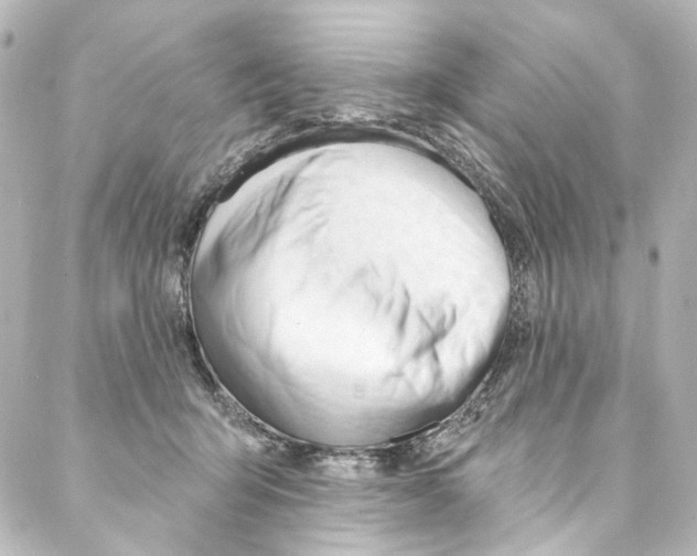 X0000087030415200705141927