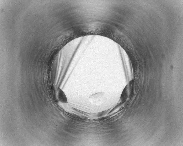 X0000087030416200705141927