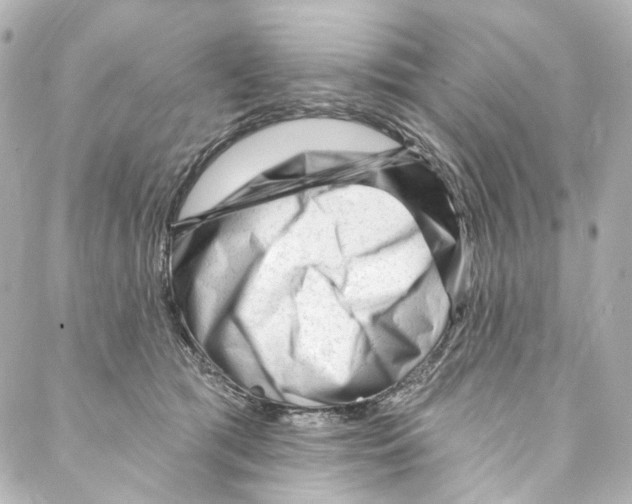 X0000087030417200705141927