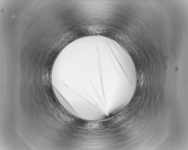 X0000087030418200705141927